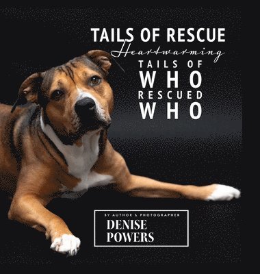 Tails of Rescue 1