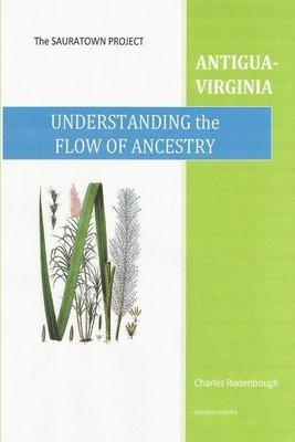 Understanding the Flow of Ancestry-Antigua-Virginia 1