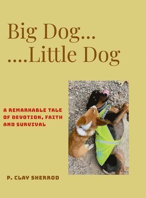 Big Dog - Little Dog 1