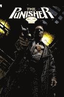 bokomslag Punisher Max: The Complete Collection Vol. 3