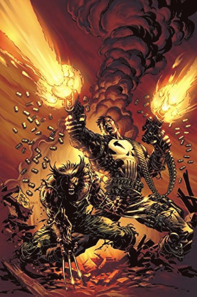 Carl Potts, Dan Abnett, Andy Lanning - Wolverine vs. The Punisher, Häftad