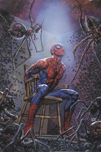 bokomslag Spider-man's Tangled Web Omnibus