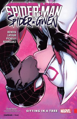 bokomslag Spider-Man/Spider-Gwen: Sitting in a Tree