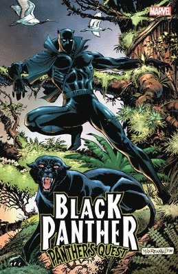 Black Panther: Panther's Quest 1
