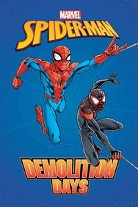 bokomslag Spider-man: Demolition Days