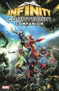 bokomslag Infinity Countdown Companion