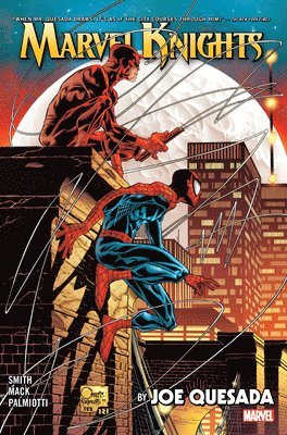 Marvel Knights by Joe Quesada Omnibus