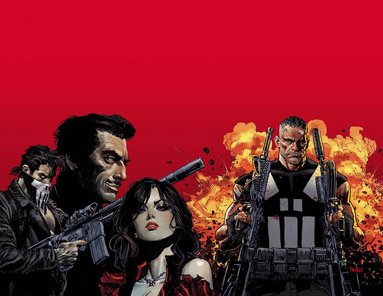 Jimmy Palmiotti - Marvel Knights: Punisher, Häftad