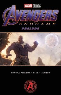bokomslag Marvel's Avengers: Endgame Prelude