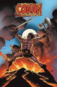 bokomslag Conan the Barbarian: The Original Marvel Years Omnibus Vol. 1