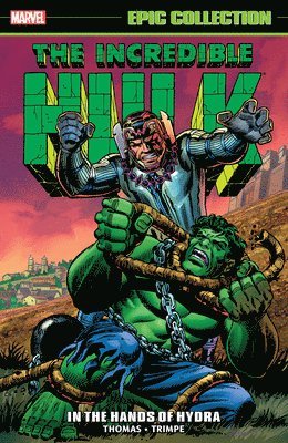 INCREDIBLE HULK EPIC COLL IN T