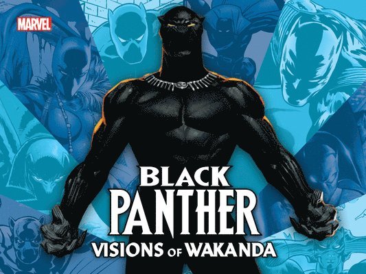Black Panther: Visions Of Wakanda 1