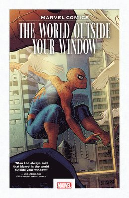 bokomslag Marvel Comics: The World Outside Your Window