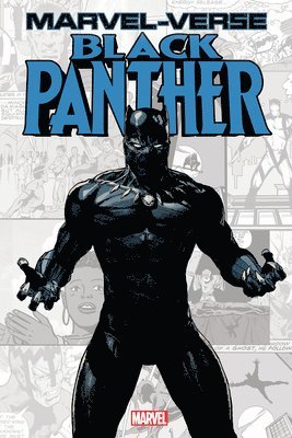 bokomslag Marvel-Verse: Black Panther