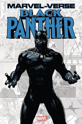 Marvel-verse: Black Panther 1