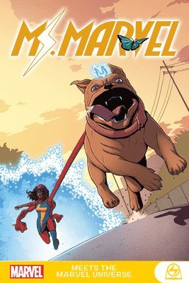 Ms. Marvel Meets the Marvel Universe 1