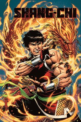bokomslag Shang-Chi Vol. 1