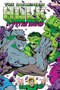 bokomslag Incredible Hulk by Peter David Omnibus Vol. 2