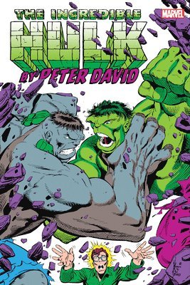bokomslag Incredible Hulk by Peter David Omnibus Vol. 2