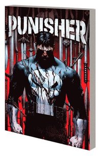 bokomslag Punisher Vol. 1