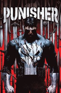 bokomslag Punisher Vol. 1