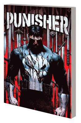 bokomslag Punisher Vol. 1