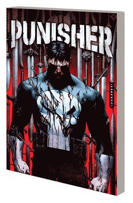 Punisher Vol. 1 1