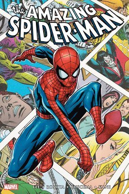 bokomslag Amazing Spider-Man Omnibus Vol. 3