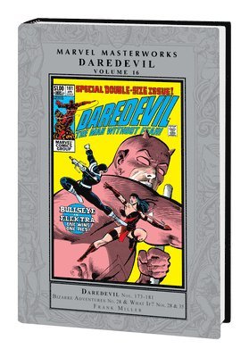 bokomslag Marvel Masterworks: Daredevil Vol. 16