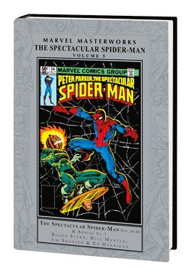 bokomslag Marvel Masterworks: The Spectacular Spider-man Vol. 5