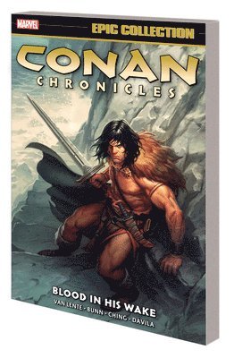 bokomslag Conan Chronicles Epic Collection: Blood In His Wake