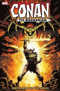 bokomslag Conan The Barbarian: The Original Marvel Years Omnibus Vol. 8