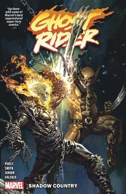 bokomslag Ghost Rider Vol. 2: Shadow Country