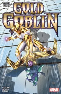 bokomslag Gold Goblin