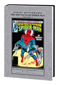 bokomslag Marvel Masterworks: The Spectacular Spider-man Vol. 6