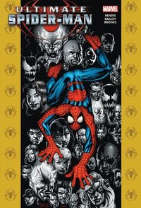 bokomslag Ultimate Spider-Man Omnibus Vol. 3