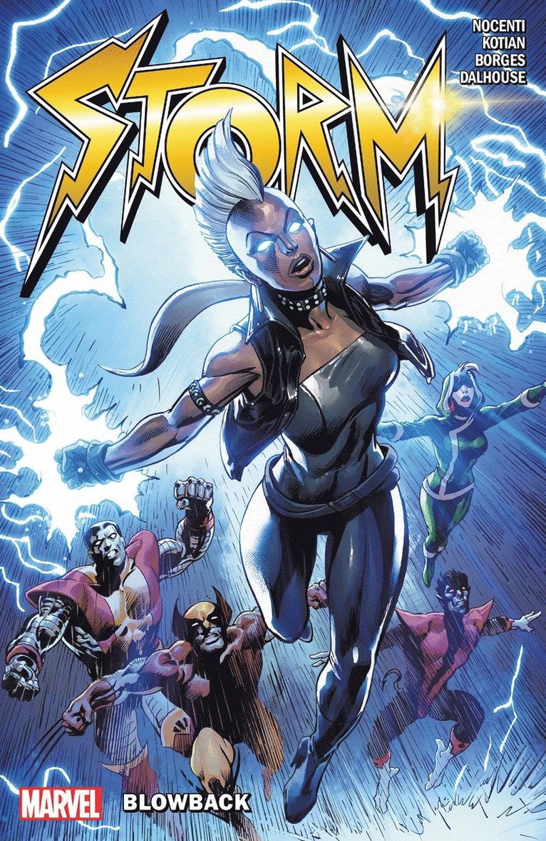 Ann Nocenti - Storm: Blowback, Häftad