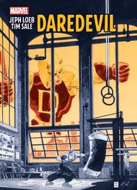 bokomslag Jeph Loeb & Tim Sale: Daredevil Gallery Edition