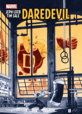 Jeph Loeb & Tim Sale: Daredevil Gallery Edition 1