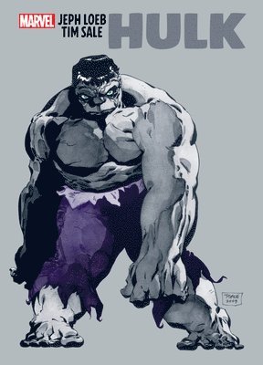 bokomslag Jeph Loeb & Tim Sale: Hulk Gallery Edition