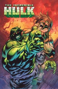 bokomslag Incredible Hulk Vol. 3: Soul Cages