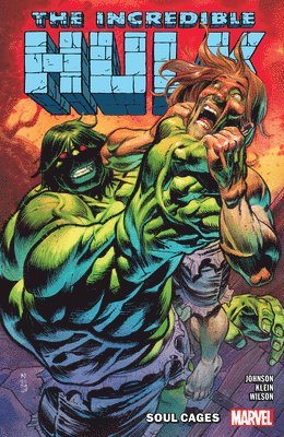 bokomslag Incredible Hulk Vol. 3: Soul Cages