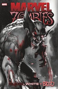 bokomslag Marvel Zombies: Black, White & Blood Treasury Edition