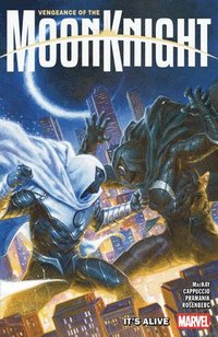 bokomslag Vengeance of The Moon Knight Vol. 2