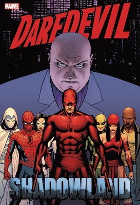 bokomslag Daredevil: Shadowland Omnibus Cassaday Cover (New Printing)