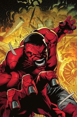 bokomslag Red Hulk Vol. 1