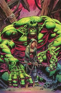 bokomslag Incredible Hulk Vol. 4: City of Idols