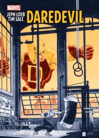 bokomslag Jeph Loeb & Tim Sale: Daredevil