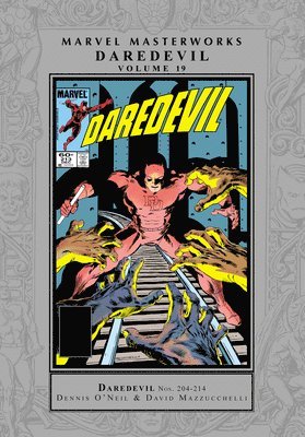 bokomslag Marvel Masterworks: Daredevil Vol. 19