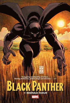 bokomslag Black Panther by Reginald Hudlin Omnibus